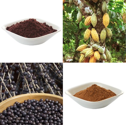 Navitas Naturals Organic Acai and Raw Cacao Powders